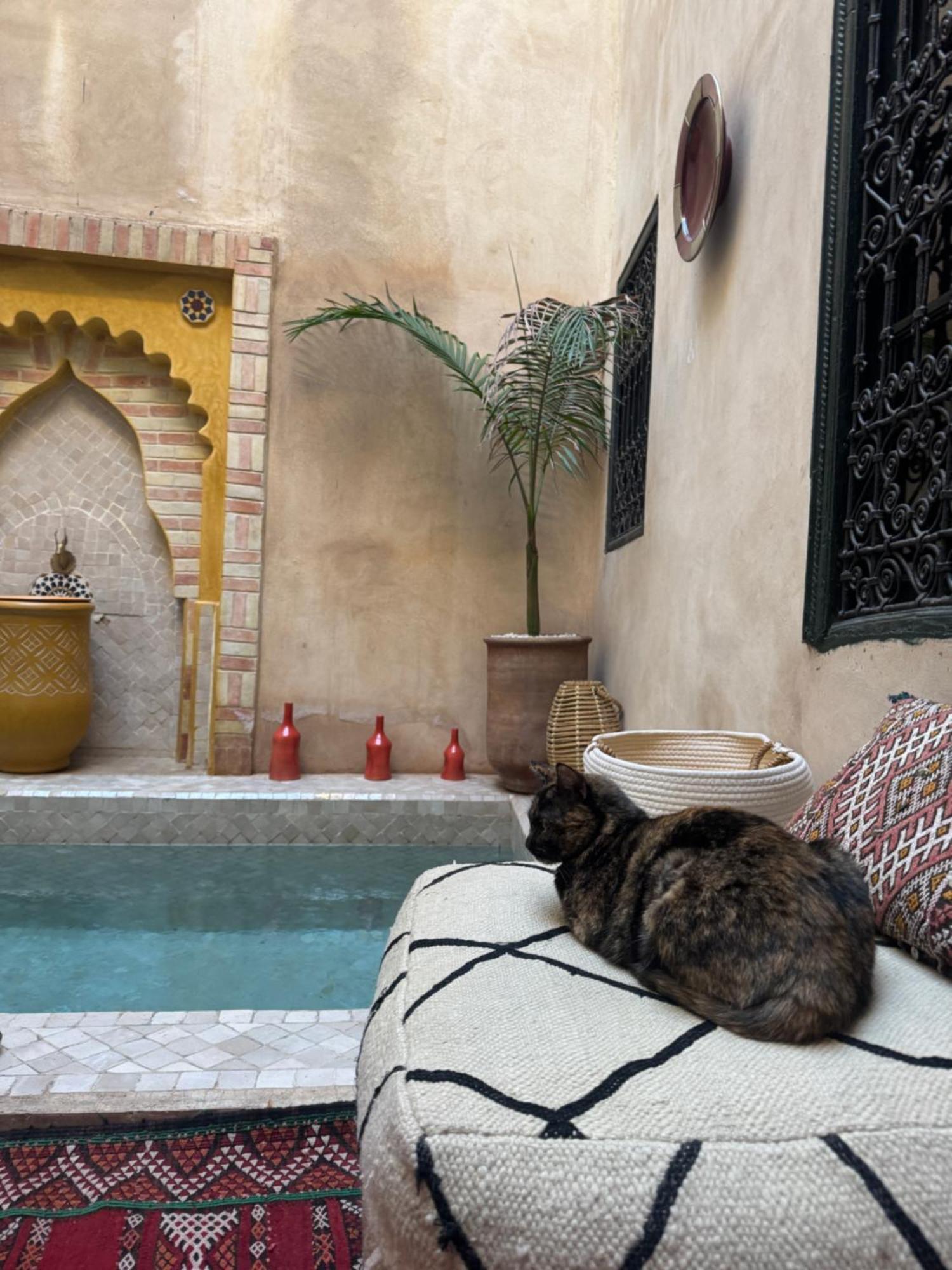Riad Paquerette Marrakesh Buitenkant foto